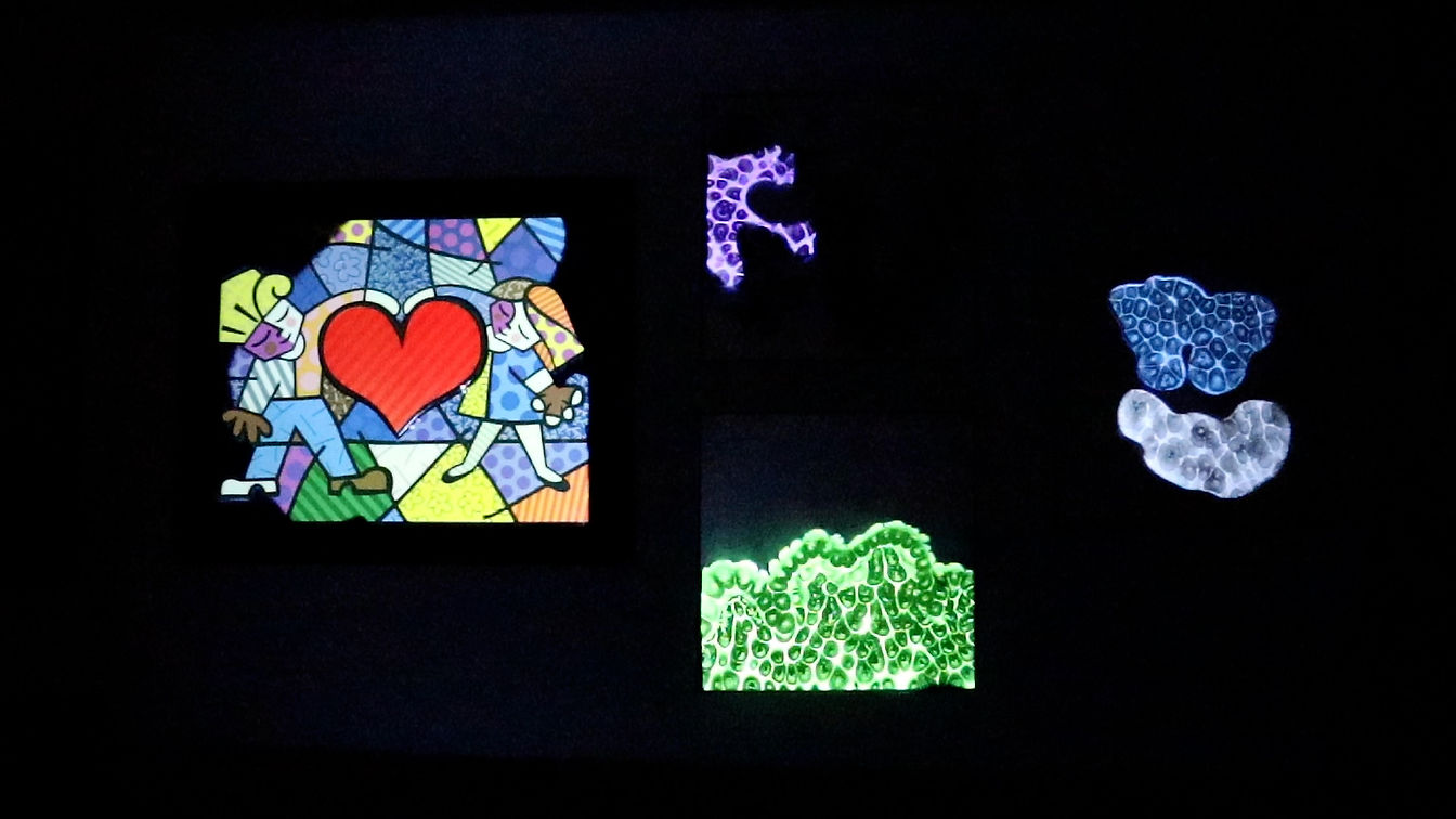 Art Projections